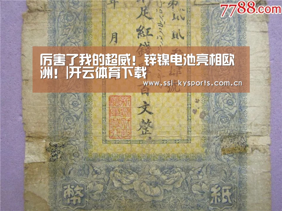厉害了我的超威!锌镍电池亮相欧洲!|开云体育下载(图3) 开云App下载