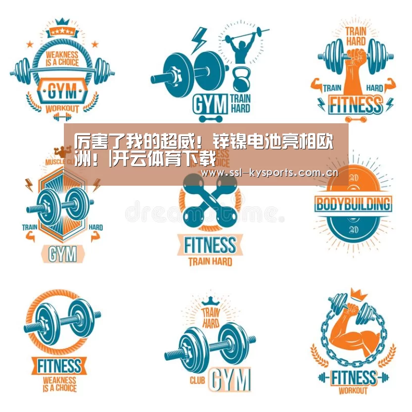 厉害了我的超威!锌镍电池亮相欧洲!|开云体育下载(图2) 开云体育下载