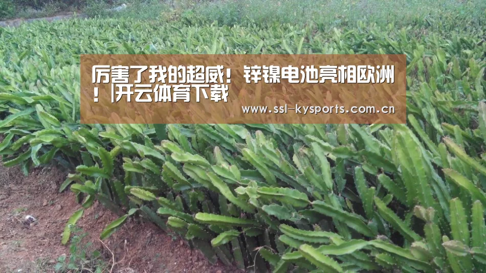厉害了我的超威!锌镍电池亮相欧洲!|开云体育下载(图1) 开云App下载