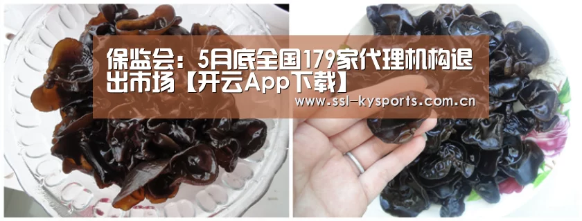 保监会:5月底全国179家代理机构退出市场【开云App下载】(图2) 开云体育下载