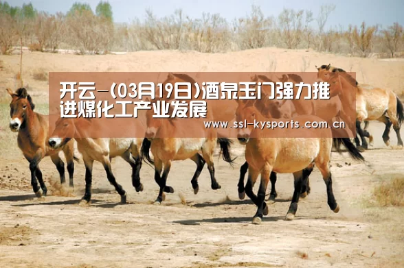 开云-(03月19日)酒泉玉门强力推进煤化工产业发展(图4) 开云体育下载